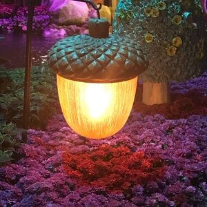 Meet your Posher, Dawn